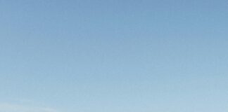 Me Mini Me: Entdecke Die Faszinierende Welt Deiner Kleinen Doppelgänger