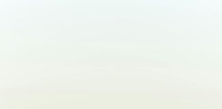 Wie Viele Beamte Gibt Es In Deutschland? Spannende Fakten Enthüllt