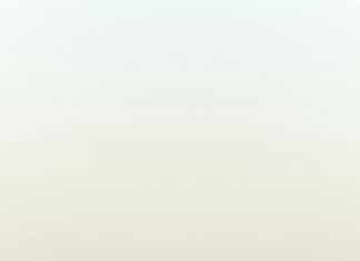 Wie Viele Beamte Gibt Es In Deutschland? Spannende Fakten Enthüllt