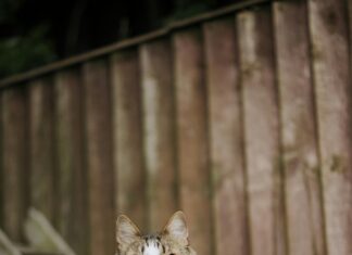 Entgeltgruppe 6 TVöD: Was Bedeutet Sie Für Ihren Alltag?