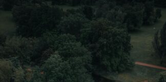 Burg Bei Magdeburg Entdecken: Geheimtipps Für Dein Abenteuer