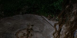 Die Autobahn GmbH Des Bundes: Was Macht Sie So Besonders?