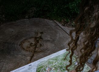 Die Autobahn GmbH Des Bundes: Was Macht Sie So Besonders?