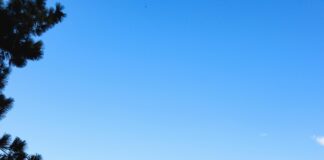 Revue Passieren Lassen: Wie Sie Erinnerungen Kraftvoll Neu Erleben