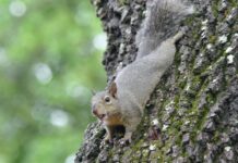 In Guten Wie In Schweren Tagen: Geheimtipps Für Starke Beziehungen