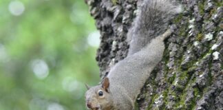 In Guten Wie In Schweren Tagen: Geheimtipps Für Starke Beziehungen