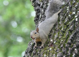 In Guten Wie In Schweren Tagen: Geheimtipps Für Starke Beziehungen