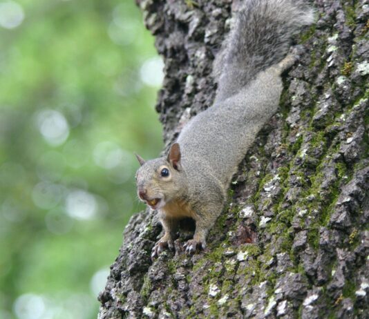 In Guten Wie In Schweren Tagen: Geheimtipps Für Starke Beziehungen