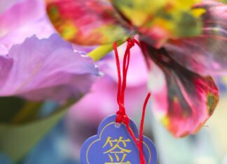 China Olympia: Faszinierende Einblicke Und Überraschungen Entdecken