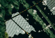 Wer Darf Zuerst Fahren? Ultimative Tipps Für Sichere Entscheidungen