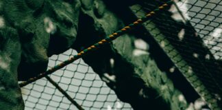 Wer Darf Zuerst Fahren? Ultimative Tipps Für Sichere Entscheidungen