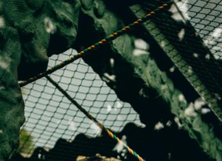 Wer Darf Zuerst Fahren? Ultimative Tipps Für Sichere Entscheidungen