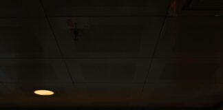 Auf Welcher Seite Ist Das Herz: Faszinierende Fakten Enthüllt!