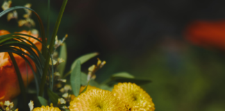 Kampfjets Über Deutschland Heute: Faszinierende Fakten Und Insights