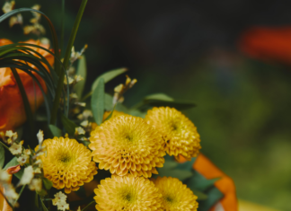 Kampfjets Über Deutschland Heute: Faszinierende Fakten Und Insights