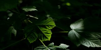 Besoldungstabelle Bayern: Wie Viel Verdienen Beamte Wirklich?