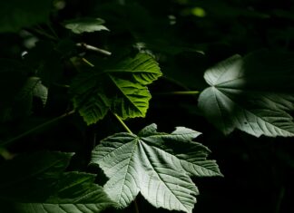 Besoldungstabelle Bayern: Wie Viel Verdienen Beamte Wirklich?