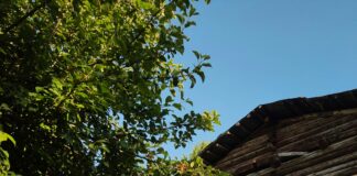 Was Verdient Ein Lehrer: Spannende Einblicke In Gehälter Und Chancen