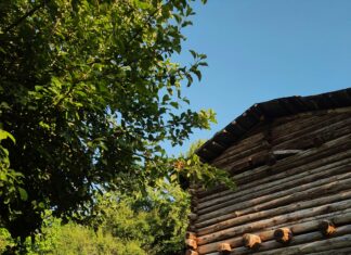 Was Verdient Ein Lehrer: Spannende Einblicke In Gehälter Und Chancen