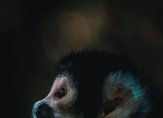 Tvöd E 13: Was Macht Diese Gehaltsstufe So Attraktiv Für Dich?