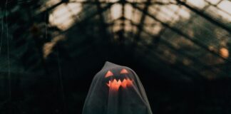 Blauer Jacke Herren: Warum Diese Trendfarbe Dein Outfit Verändert