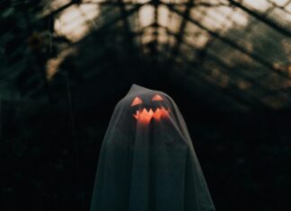 Blauer Jacke Herren: Warum Diese Trendfarbe Dein Outfit Verändert