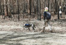Au In Der Hallertau: Entdecke Das Verborgene Paradies Bayerns!
