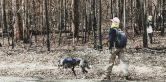Au In Der Hallertau: Entdecke Das Verborgene Paradies Bayerns!