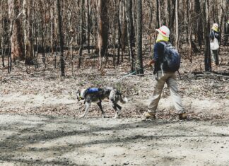 Au In Der Hallertau: Entdecke Das Verborgene Paradies Bayerns!