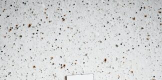 Mini Me Und Co: Warum Mini Me So Beliebt Und Faszinierend Ist