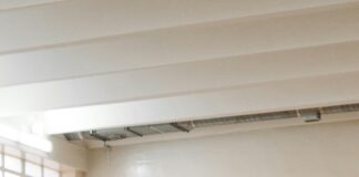 Volleyball Olympia: Entdecke Die Spannendsten Highlights Und Fakten