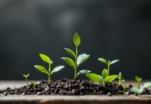 Nachhaltigkeit im Unternehmen: Warum es sich lohnt und wie man es umsetzt Sustainability in the Company: Why It's Worth It and How to Implement It